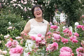 海妈植物推荐 | 又香又大又好养，高人气的月季公主视频封面