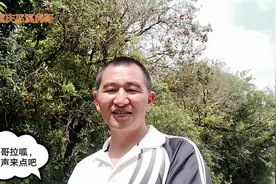 杨梅杨梅、野杨梅，一起看看野杨梅和杨梅树