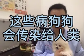 狗狗这些病会传染给人，你们知道吗视频封面