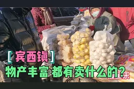 探访哈尔滨宾西镇，这不光是牛肉出名，看看其它的特产都有什么？视频封面