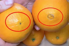 买橙子时，一定要挑“公的”？果农大姐教你一招，包你挑到甜又香视频封面