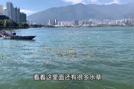 小伙来云南大理，第一次见到“海”，大理洱海到底算不算海呢？