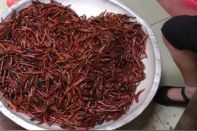 胡辣椒的传统做法视频封面