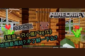 我的世界里最高的地方是什么样子你见过吗？