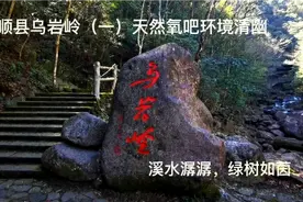 泰顺自驾游第三天乌岩岭（一）天然氧吧环境清幽空气清香溪水潺潺视频封面