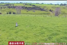 2015MAMA亚洲音乐大奖 Bigbang.EXO领衔  钟铉创作带领组合回归！视频封面