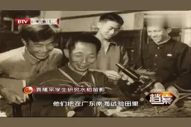 愤怒!袁隆平研制7000颗杂交水稻秧苗，竟被人一夜拔了个空