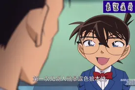 小柯和毛利的逗比日常合集，没想到他俩还挺配的视频封面