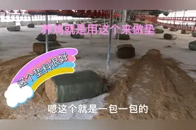 这种材料用来做养鸡垫料很好，你们是用什么来垫的呢