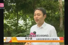 稀土板块集体爆发，中国稀土暴涨超100%视频封面