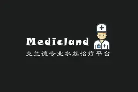 克兰德水族专业治疗平台专题滤材篇火山石