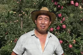 甘肃天水，麦积区新阳镇胡大村，花牛苹果长势喜人丰收在望视频封面