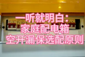电工老师傅分享：家庭配电箱空开、漏保选配方法：一听就明白！视频封面