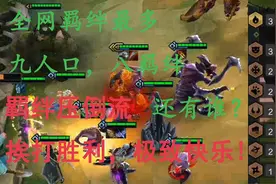 云顶之弈全网羁绊最多 九人口 八种羁绊 极致的快乐视频封面