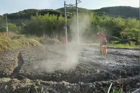 种花生咯，撒点石灰预防死颗！！视频封面