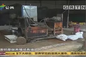 村民投诉：水库附近工厂炼制猪油，臭味熏天污染环境视频封面