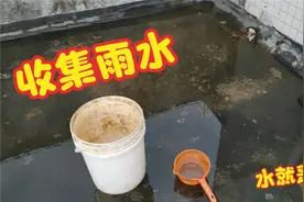 楼顶种菜  小伙这样收集雨水 以便晴天浇菜 经济 方便 快捷视频封面