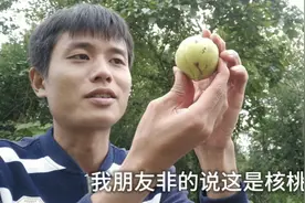 水库钓鱼发现野果，朋友要摘来吃幸好制止了他，否则后果不堪设想视频封面