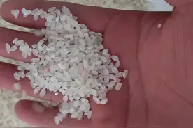 那位大神能告诉我，为什么刚买的大米拆开里面有红色的米，难道是