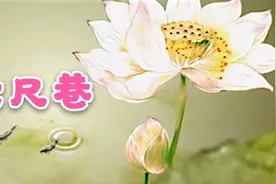 一段佳话《六尺巷》恭谦礼让永流芳。德义中间走，礼让站两旁。视频封面