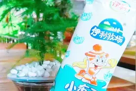 十二星座代表的的雪糕品牌是什么？双子座是哈根达斯！超级好吃！