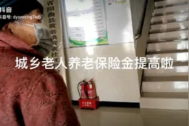 城乡补充养老金办法老人们养老金待遇提高啦啦啦视频封面