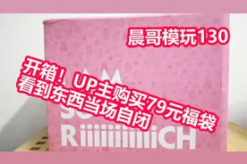 开箱！UP主购买79元福袋看到东西后当场自闭_晨哥模玩130视频封面
