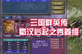 三国群英传7  蜀国名将姜维 专属必杀技 掠影流光 展示视频封面