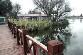 年三十到现在，己有五天没出门了，带上口罩，出去走走。视频封面