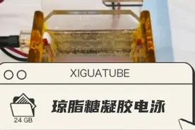 跑了一个琼脂糖凝胶电泳视频封面