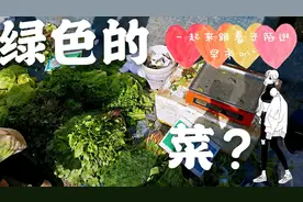 【解压】绿色的菜是什么样的菜呢?一起跟着子陌去早市一探究竟吧~