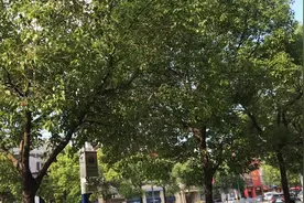 上海的居民区这种刺耳的噪音，怀疑有未知机械在工作，你听得到吗视频封面