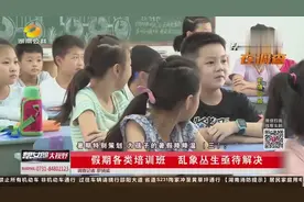 让孩子过有意义暑假！培训班乱象丛生，名校校长、教育专家齐支招视频封面