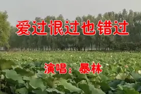 暴林一首《爱过恨过也错过》好听极了，句句触动心扉！