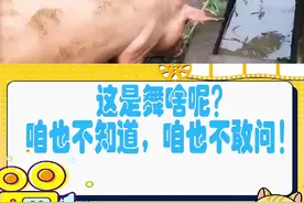 这是舞啥呢？咱也不知道，咱也不敢问！