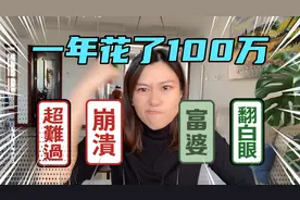 一家四口一年花了100万，二胎妈妈一算账惊呆了，到底咋花的？