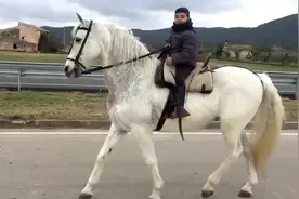小骑手骑着大白马带头，后面跟着一群骏马