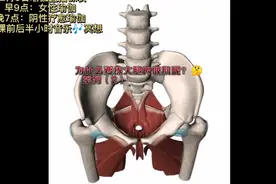 为什么要练习大腿内收肌呢？🤔系列（2）视频封面