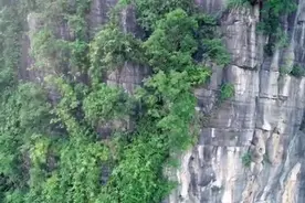 美猴王之家视频封面