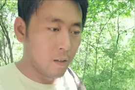 东北林区跑山，小宇采到药材红毛，运气太好了，看看红毛长什么样视频封面