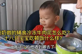 奶奶做的辅食冷冻牛肉泥怎么吃？十八个月宝宝吃顿饭什么样视频封面