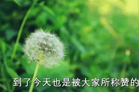 蒲公英清热解毒，怎么吃才健康？3个配伍方法先说给你视频封面