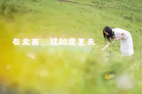 甘肃藏着一片高山草原，野花盛开气温20度，避暑最佳，门票才10元