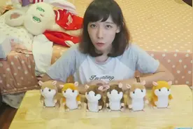 会学你说话的萌萌小仓鼠，我却要崩溃了