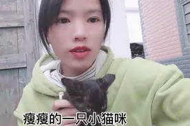 家里来了一只猫不肯走，农村有一种说法自来猫不可以养，难搞咧！