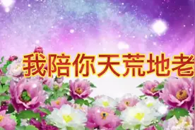 情感的歌曲《我陪你天荒地老》视频封面
