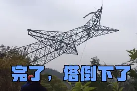 旧线路铁塔拆除竟然如此可怕，一整座倒下视频封面