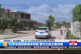 12岁女孩回家途中失踪 文山警方已经立案调查视频封面