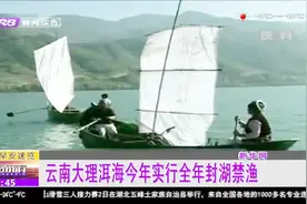 2019年云南大理洱海实行全年封湖禁渔，恢复生态环境优化生态结构视频封面