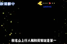 #不知火舞#基础连招和技能介绍-希望大家能够喜欢@秋荷醉屮视频封面